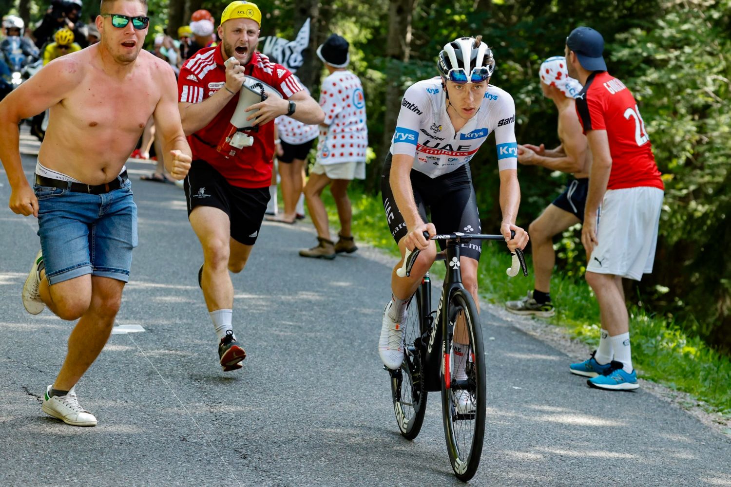 Favorieten gele trui Tour de France 2024 - Tadej Pogacar